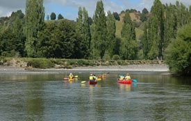 explore Whanganui River