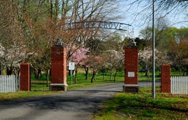 Cherry Grove Domain