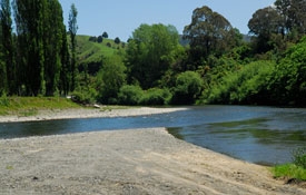 riverbank where Ongarue and Whanganui rivers meet