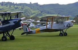 Tiger Moths