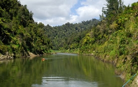 Whanganui River