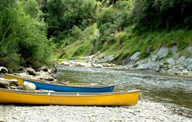 kayaking in Whanganui River